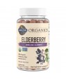 Organics Elderberry Immune – 120 Gummies